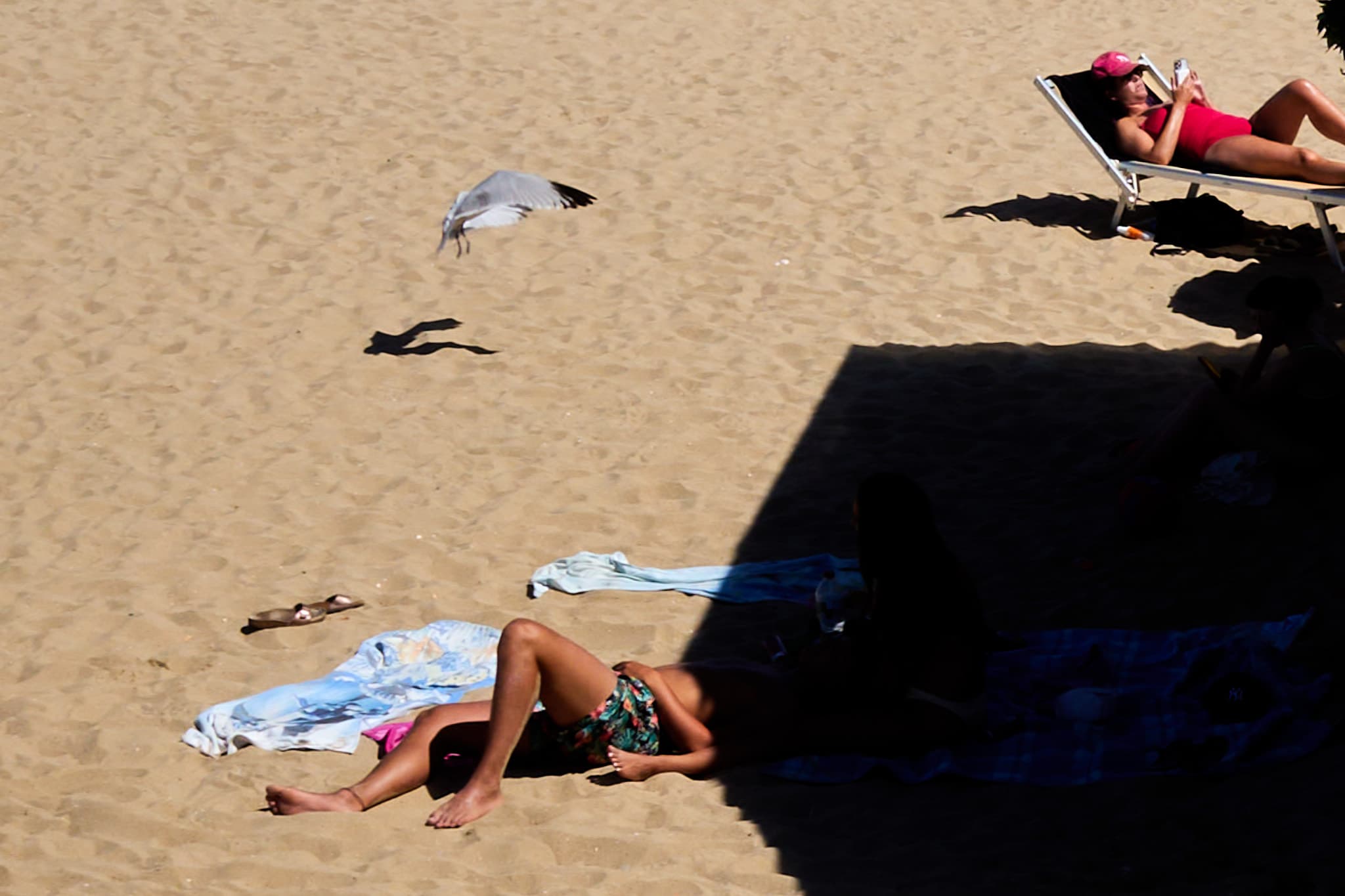 A bird flying over sunbathers and geometric shadows on the beach